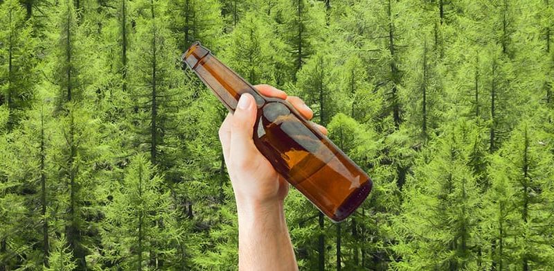 tree nation bebidas sin alcohol