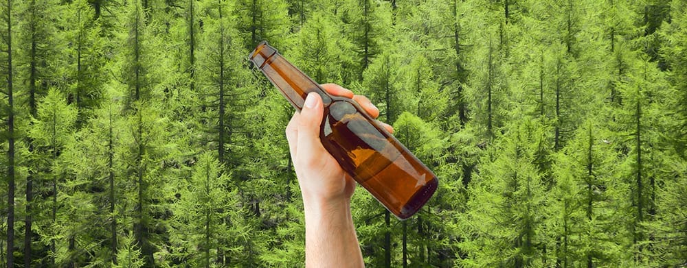 Cada vez que brindas sin alcohol, brota un nuevo árbol