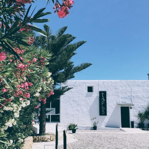 tapas ibiza restaurant begudes sense alcohol