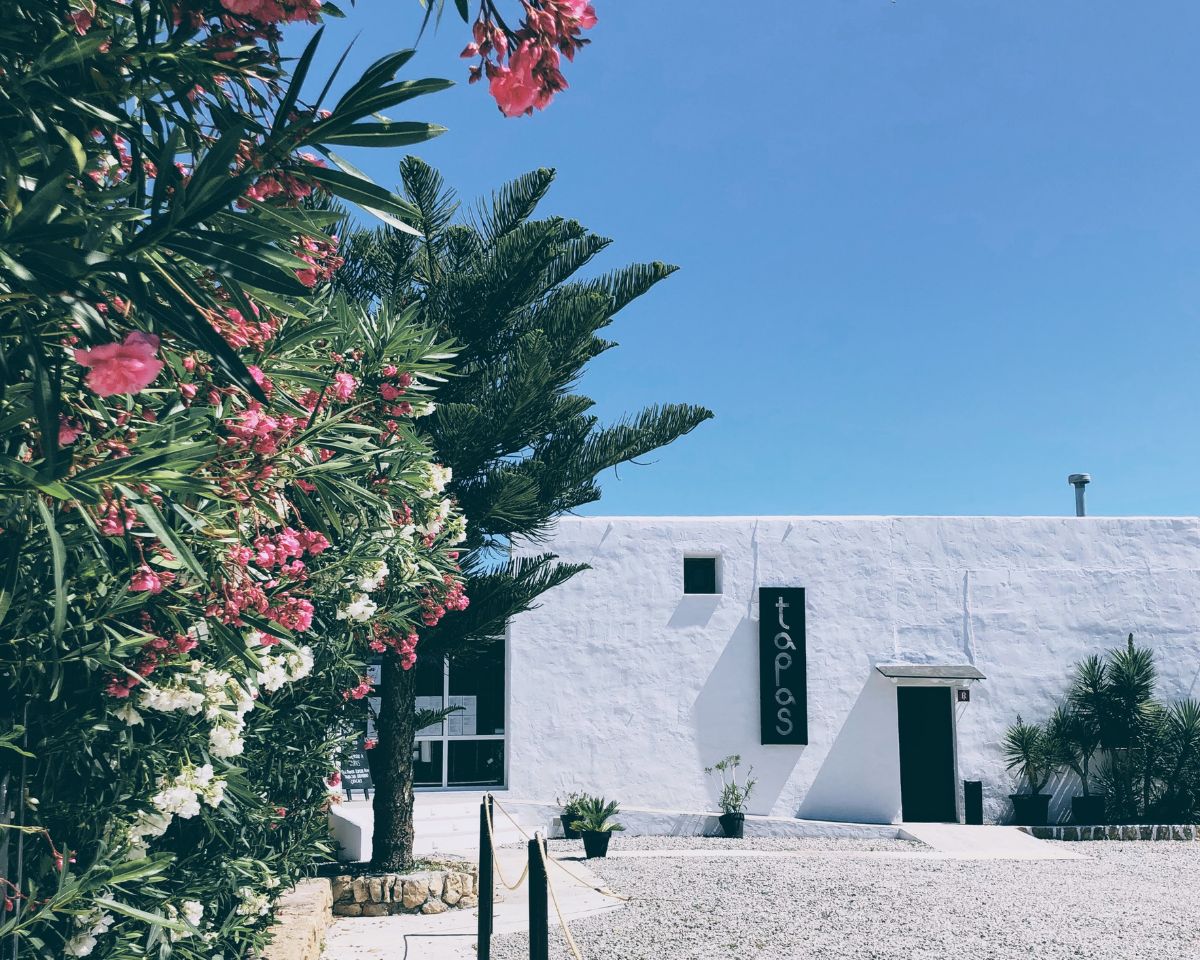 tapas ibiza restaurant non alcoholic drinks